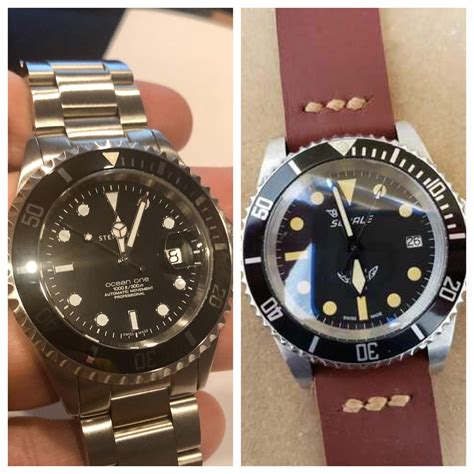 squale vs steinhart